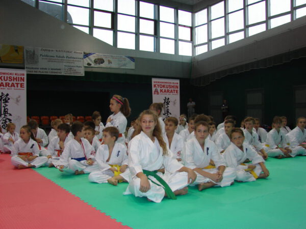 Młodzi karatecy