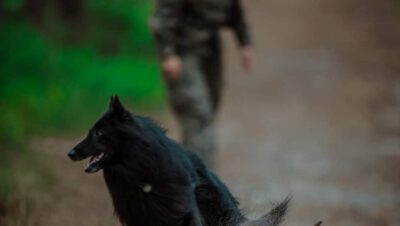 
Dzień Psa Ratowniczego w 13 Śląskiej Brygadzie Obrony Terytorialnej