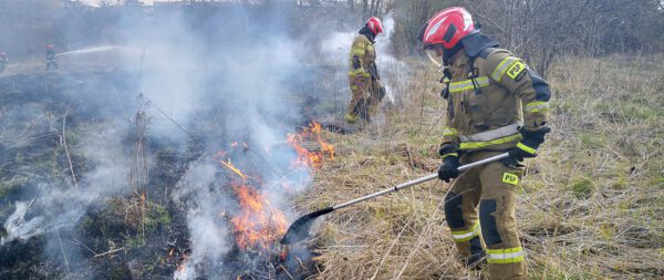 strażak gasi płonące trawy w siemianowicach śląskich
