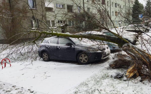 drzewo przewrócone na auto w siemianowicach na śląsku