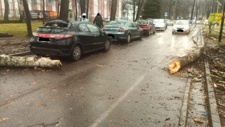 złamane i przewrócone drzewo na ulicę w mieście siemianowie śląskie