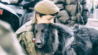 
Psy będą „służyć” w 13. Śląskiej Brygadzie Obrony Terytorialnej